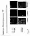 Fig. 13 - Digitizing biology