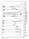 Fig. 21 - Digitizing biology
