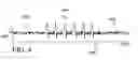 Fig. 07 - Method and apparatus using spectral addition for speaker recognition