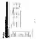 Fig. 07 - Optimized advertising fulfillment