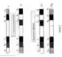 Fig. 06 - Method and system for determining optimum resource allocation in a network