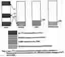 Fig. 01 - Method and mechanism of materialized view mix incremental refresh