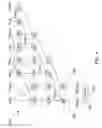 Fig. 07 - Sparse tree adder circuit