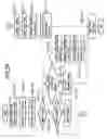 Fig. 30 - Communication method and apparatus, server and client on network, and program codes realizing communication thereof