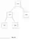 Fig. 05 - Automatic assignment of addresses to nodes in a network