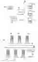 Fig. 02 - Provisioning or de-provisioning shared or reusable storage volumes