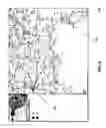 Fig. 09 - Geographical intrusion mapping system using telecommunication billing and inventory systems