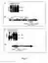 Fig. 32 - Methods for the transformation of vegetal plastids