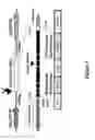 Fig. 07 - Nucleotide sequences and method of using same to increase plant stress tolerance