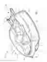 Fig. 02 - Bedpan