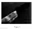 Fig. 02 - Knife apparatus