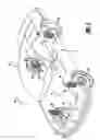 Fig. 02 - measurement device for a support land for a valve disc