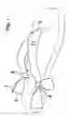 Fig. 02 - Thong sandal accessory