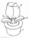 Fig. 01 - Flower blooming simulative toy flower