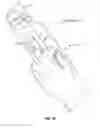 Fig. 10 - TRIGGER SAFETY ASSEMBLY