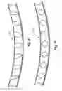 Fig. 13 - Compressible structural panel with closure clip
