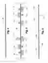Fig. 03 - Compressible structural panel with parallel and perpendicular dividers