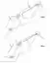 Fig. 02 - Method for placing a receptacle containing a liquid in a device for sampling the liquid and sampling device for applying the method