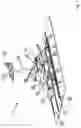 Fig. 02 - Movement device