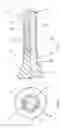 Fig. 03 - Screw holder