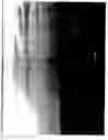Fig. 13 - Winged hull for a watercraft
