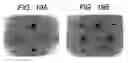 Fig. 15 - Semiconductor thin film decomposing method, decomposed semiconductor thin film, decomposed semiconductor thin film evaluation method, thin film transistor made of decomposed semiconductor thin film, and image display device having circuit constituted of thin film transistors