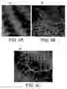 Fig. 06 - Nanoscale junction arrays and methods for making same