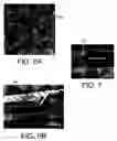 Fig. 07 - Nanoscale junction arrays and methods for making same