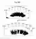 Fig. 28 - Seed layers, cap layers, and thin films and methods of making thereof