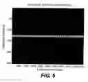 Fig. 06 - Optical detection of oscillating targets using modulation of scattered laser light