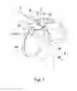 Fig. 07 - Pet lead structure