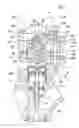 Fig. 01 - Valve actuation device of internal combustion engine