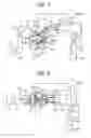 Fig. 02 - Direct-injection engine, method of controlling the same, piston used in the same and fuel injection valve used in the same