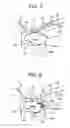 Fig. 05 - Direct-injection engine, method of controlling the same, piston used in the same and fuel injection valve used in the same