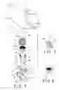 Fig. 03 - Compressed gas gun device