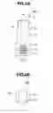 Fig. 06 - Powder medicine administering device