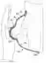 Fig. 01 - Personal hygiene device and method