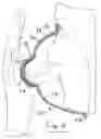 Fig. 05 - Personal hygiene device and method