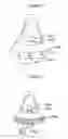 Fig. 03 - Respiratory mask