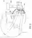 Fig. 03 - Full-face mask