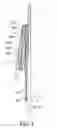 Fig. 05 - Standing umbrella