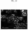 Fig. 05 - Polymer electrolyte and dye-sensitized solar cell comprising the polymer electrolyte