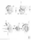 Fig. 02 - Tap pressure balance valve
