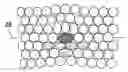 Fig. 01 - Substitutionally alloyed intermetallic compounds