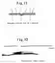 Fig. 10 - Coupling structure, coupling process and coupling apparatus of laminate film