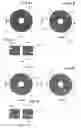 Fig. 05 - Impact tool