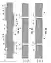 Fig. 04 - Substrate precursor structures