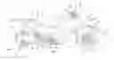 Fig. 01 - Vehicle Braking System