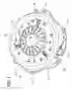 Fig. 02 - CENTRIFUGALLY ASSISTED CLUTCH