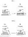 Fig. 03 - Cell separation and collection apparatus and separation and collection method